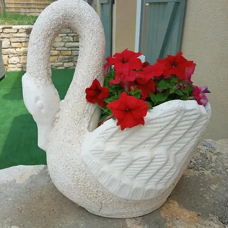 Penzion Nid Douillet A La Campagne Salviac