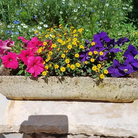 Penzion Nid Douillet A La Campagne